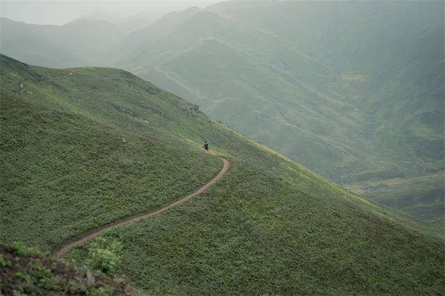 Sendero serpenteando por la ladera verde del Santuario