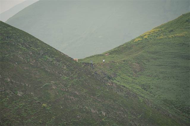 Corredor diminuto avanzando por una cresta verde entre la neblina